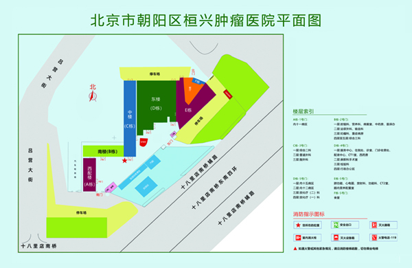 大鸡巴狠狠操视频北京市朝阳区桓兴肿瘤医院平面图